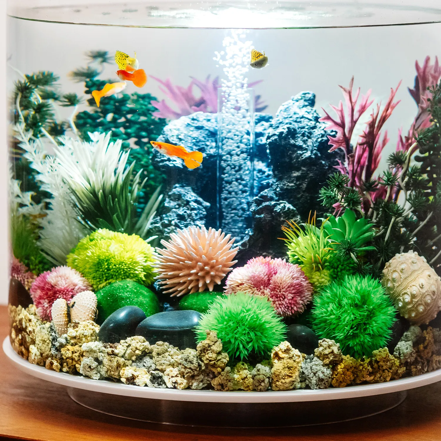 biOrb Coral Ball akvariedekoration 3-pack grön