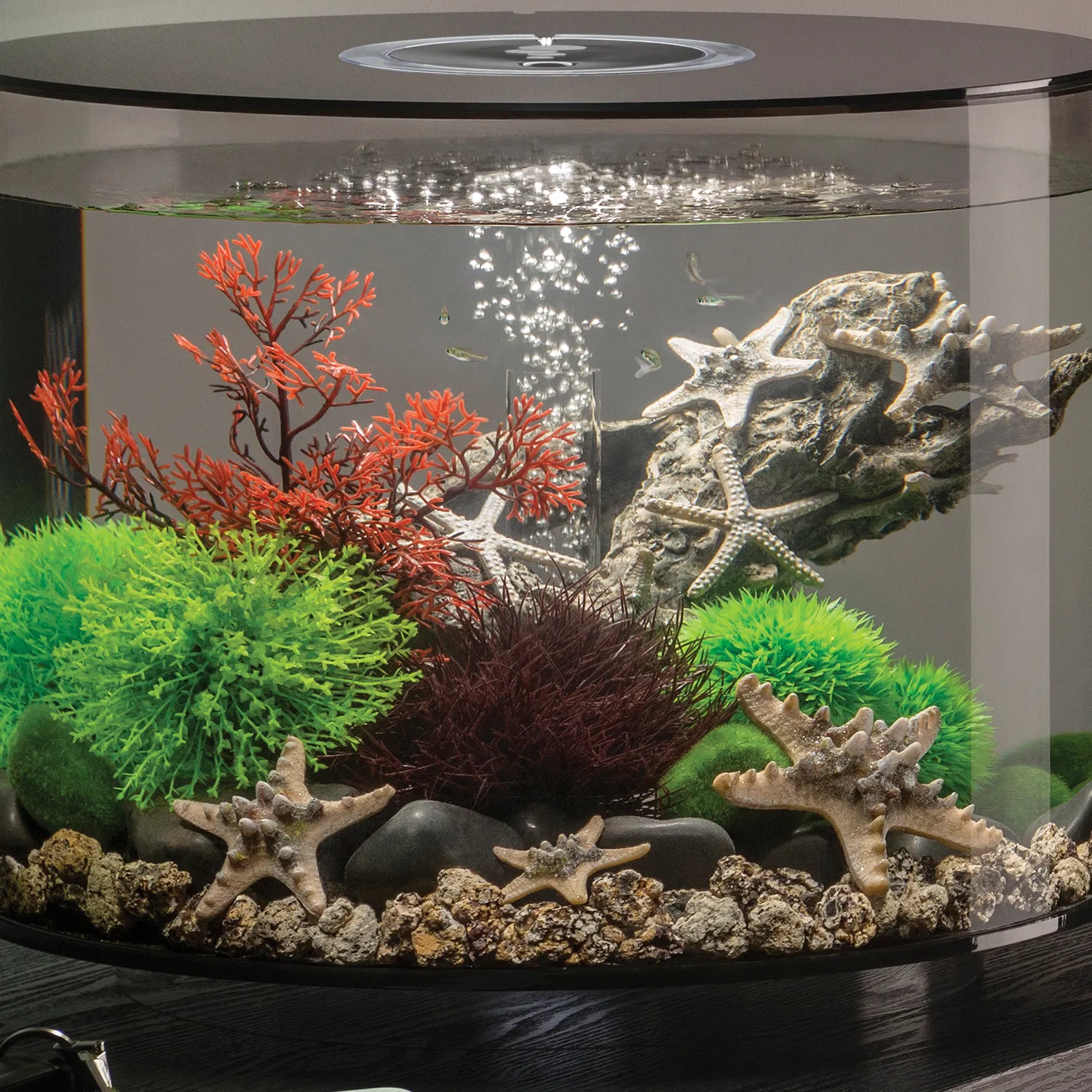 biOrb Aquatic Topiary Ball Set akvariedekoration grön 3-pack