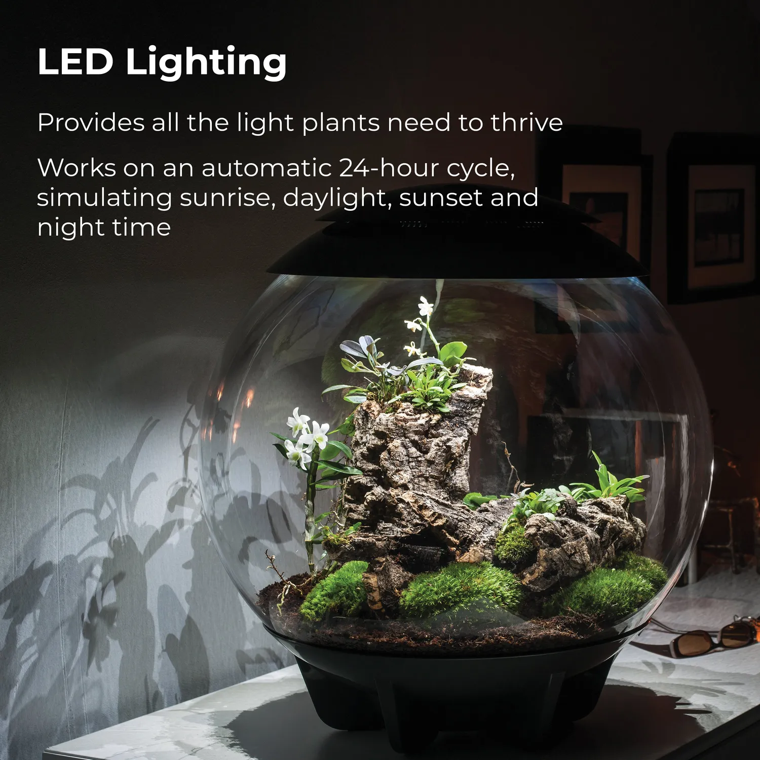 biOrb Air 60 terrarium 60 liter grå automatisk dimma
